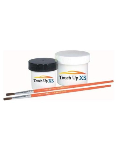 Kit de Pintura de Retoque Touchup XS para RV Fleetwood FLNA94963 Perla Champán 14.79 ml