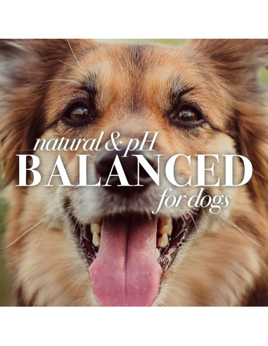 Acondicionador de Avena Burt's Bees para Perros 295 ml