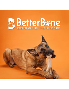 BetterBone Juguete Masticable para Perros Clásico Pequeño 100% Natural 2