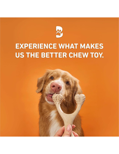 BetterBone Juguete Masticable para Perros Clásico Pequeño 100% Natural