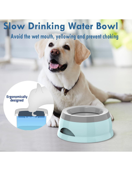 Tazón de Agua Antideslizante Takfox 750ml para Perros y Gatos