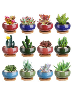 Macetas de Cerámica Lawei 12 Pack con Drenaje de Bambú