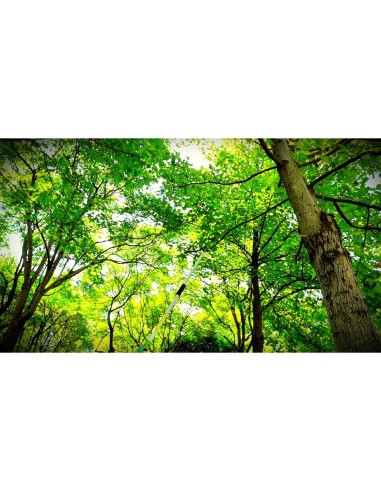 Cortador de Poste GARTOL 4.2 PIES con Cuchilla SK5 para Jardín