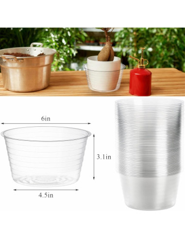 Tebery 50 Platillos de Plástico Transparente 15 cm para Macetas