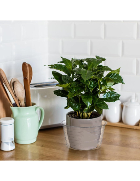 Tebery 50 Platillos de Plástico Transparente 15 cm para Macetas