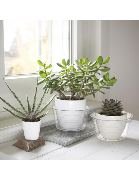 Tebery 50 Platillos de Plástico Transparente 15 cm para Macetas