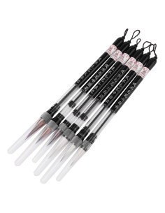 Juego de 6 Pinceles de Agua LiebeWH para Caligrafía