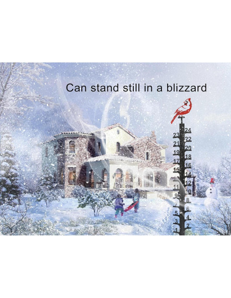 Medidor de Nieve OQUQO 61 cm Cardenal Rojo Decorativo