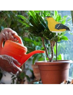 Sensor de Suelo Haofy en Forma de Pájaro con Alerta de Riego 2