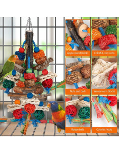 Juguete para Aves BBjinronjy - Diversión Natural para Loros 2