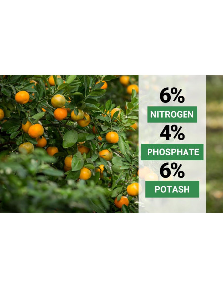 Fertilizante Orgánico para Cítricos GardenWise 473ml - NPK Balanceado