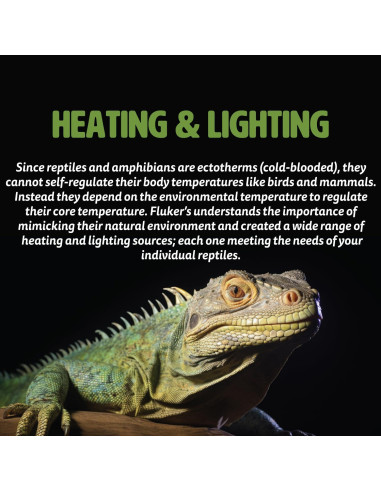 Bombilla Incandescente Repta-Sun Fluker 40W para Reptiles