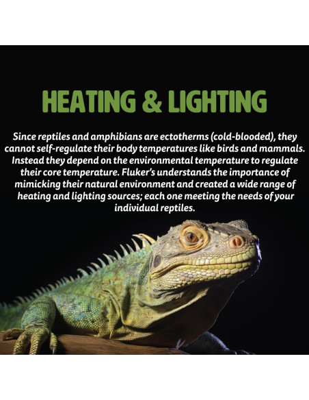 Bombilla Incandescente Repta-Sun Fluker 40W para Reptiles