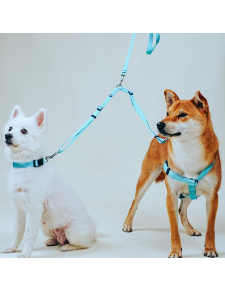 Acoplador de Correa Doble Blueberry Pet Rosa Francés Pequeño