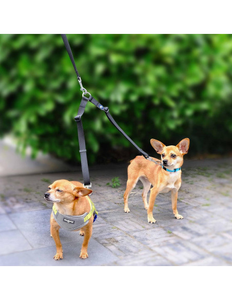 Acoplador de Correa Doble Blueberry Pet Rosa Francés Pequeño