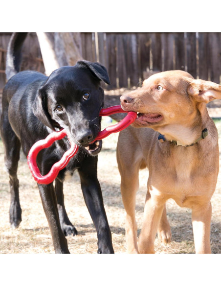 Juguete de Tirar KONG para Perros Medianos/Grandes - Goma Natural