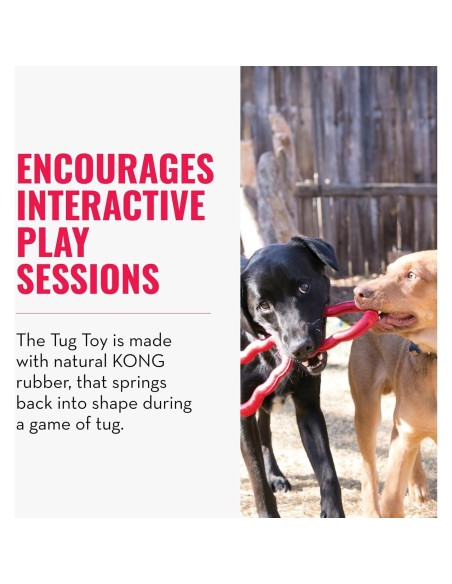 Juguete de Tirar KONG para Perros Medianos/Grandes - Goma Natural