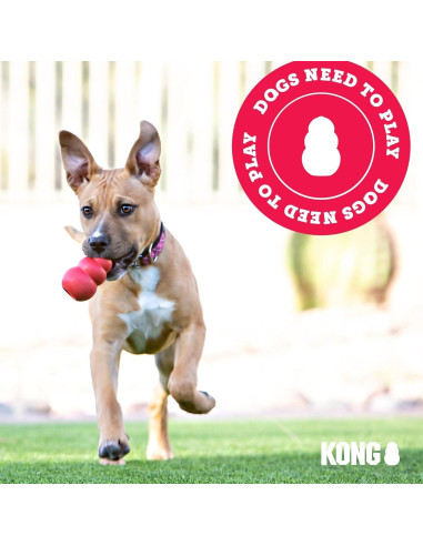 Juguete de Tirar KONG para Perros Medianos/Grandes - Goma Natural