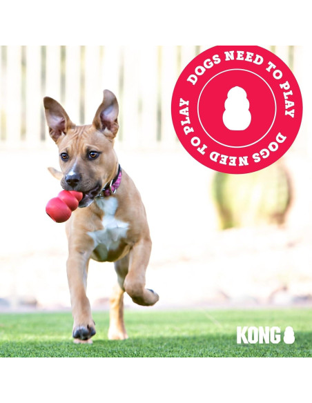 Juguete de Tirar KONG para Perros Medianos/Grandes - Goma Natural