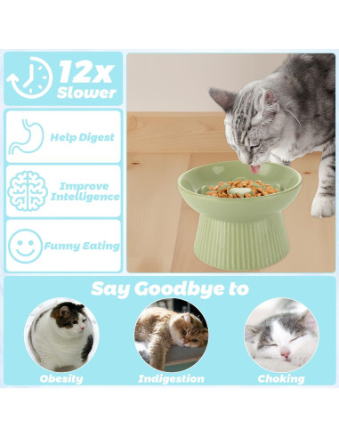 Tazón Elevado para Gatos STARVAST 2 Piezas Cerámica 15cm