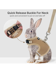 Conjunto Arnés y Correa AIITLE Caqui para Conejos y Mascotas 2
