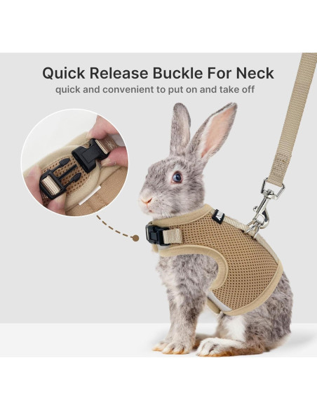 Conjunto Arnés y Correa AIITLE Caqui para Conejos y Mascotas