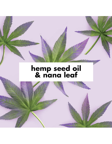 Acondicionador Hidratante Amor Belleza y Planeta 382.7 g