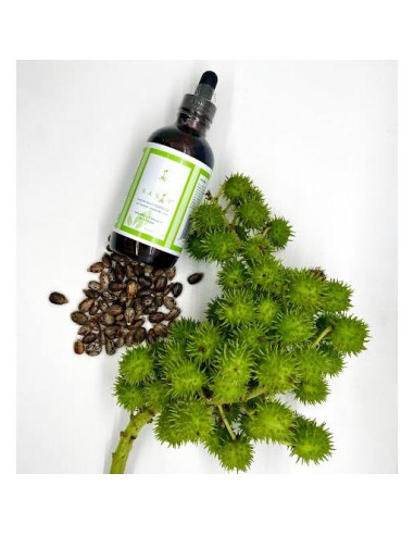 Aceite de Ricino Negro Haitiano Orgánico 118 ml - Crecimiento Cabello