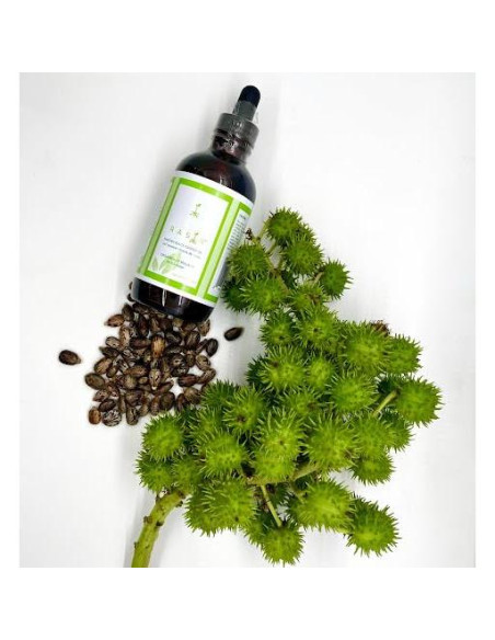 Aceite de Ricino Negro Haitiano Orgánico 118 ml - Crecimiento Cabello