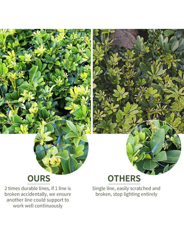 Luces de Red LED ZAIYW 6.1m x 4m Cambio de Color Dual