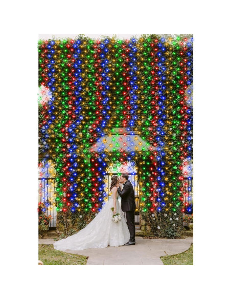 Luces de Red LED ZAIYW 6.1m x 4m Cambio de Color Dual