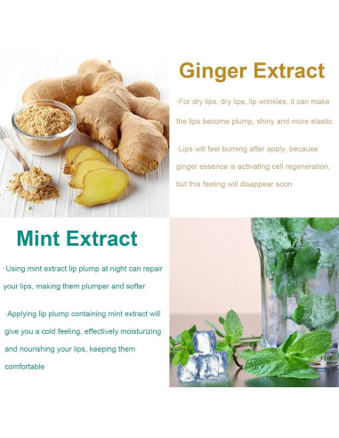 Juego de Aumento de Labios Rosarden - Voluminizador Hidratante