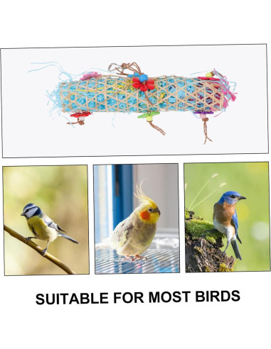 Set Juguete Masticable para Loros Toddmomy 22x16cm Colorido