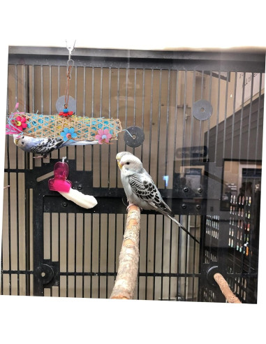 Set Juguete Masticable para Loros Toddmomy 22x16cm Colorido