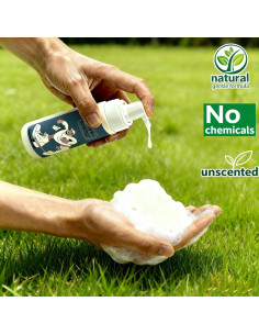 Kit de Limpieza de Zapatos TUOSANTER 3 en 1 - Sin Agua, 200ml 2