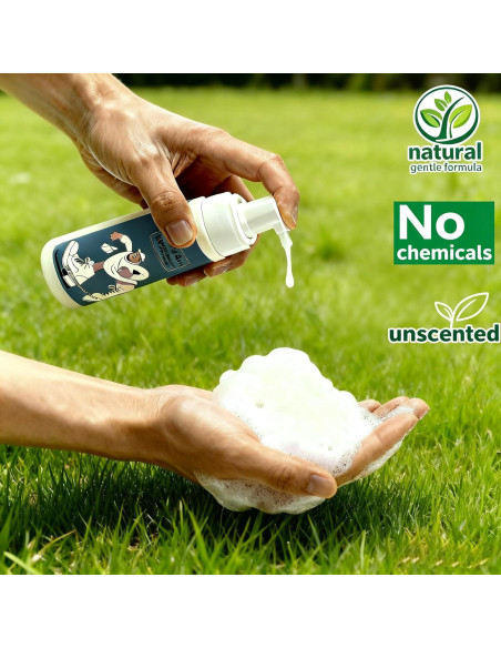 Kit de Limpieza de Zapatos TUOSANTER 3 en 1 - Sin Agua, 200ml