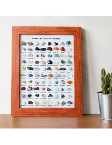 Set de 80 Especímenes Minerales Naturales Ayzsdnh