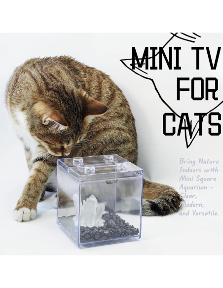 Mini Acuario para Betta Tsxurepaw 0.76L Apilable 360