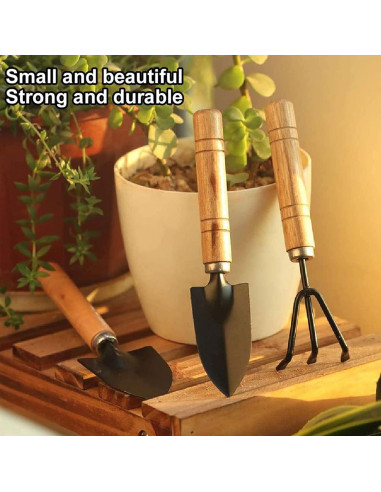 Juego de Herramientas de Jardín Mini DIMROM GTS-3 3 Piezas