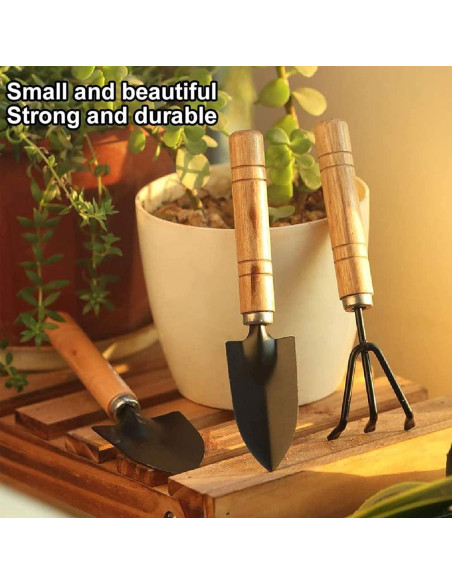 Juego de Herramientas de Jardín Mini DIMROM GTS-3 3 Piezas