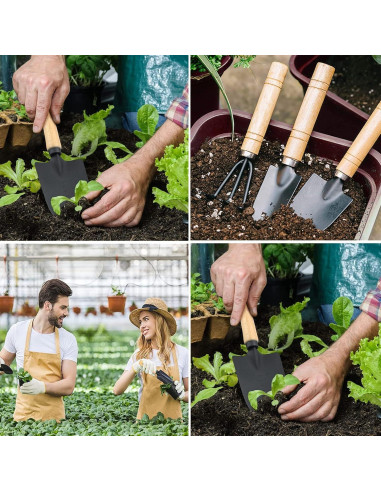 Juego de Herramientas de Jardín Mini DIMROM GTS-3 3 Piezas