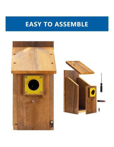 Casa de Pájaro Bluebird CEDAR ALPHA 2pk - Cedro Carbonizado