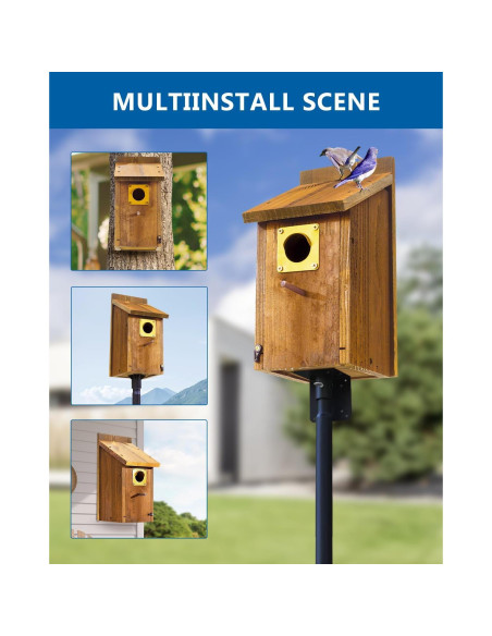 Casa de Pájaro Bluebird CEDAR ALPHA 2pk - Cedro Carbonizado