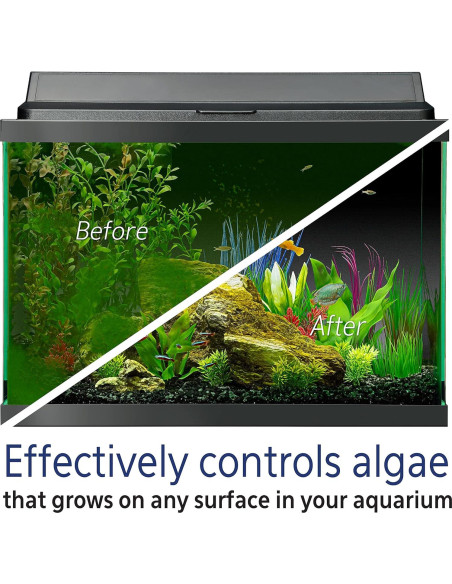 Removedor de Algas Aqueon 113 g para Acuarios de Agua Dulce