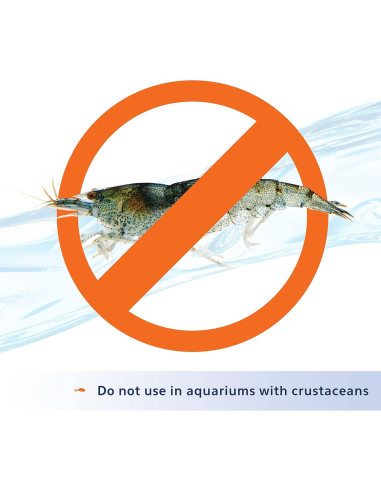 Removedor de Algas Aqueon 113 g para Acuarios de Agua Dulce