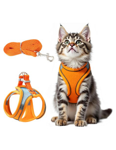 Arnés y Correa para Gatos Jieffifa - Chaleco Ajustable Reflectante