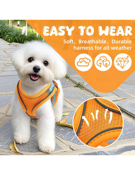 Arnés y Correa para Gatos Jieffifa - Chaleco Ajustable Reflectante