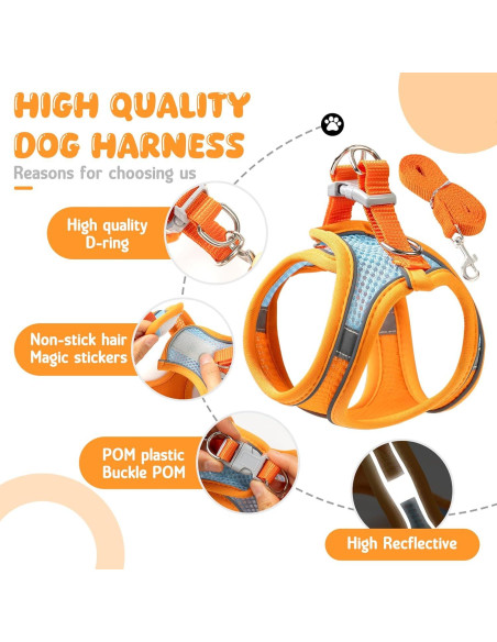 Arnés y Correa para Gatos Jieffifa - Chaleco Ajustable Reflectante