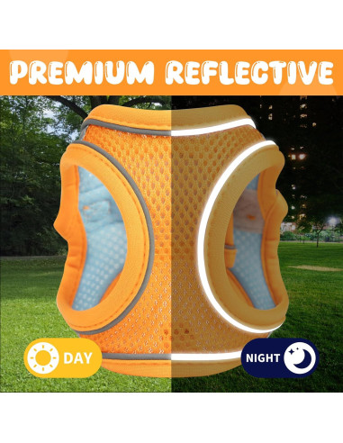 Arnés y Correa para Gatos Jieffifa - Chaleco Ajustable Reflectante