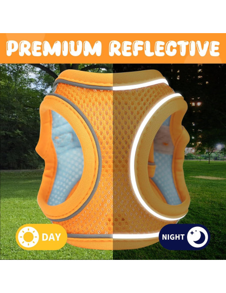 Arnés y Correa para Gatos Jieffifa - Chaleco Ajustable Reflectante